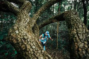 BIB: 
                            <button type="button" onclick="openModal(25393071)" class="btn btn-primary btn-sm float-right btn-popup" data-toggle="modal" data-target=".modal-high-quality">
                        <i class="fas fa-shopping-cart"></i> Add to Cart
                    </button>
                                            <button type="button" onclick="isThisMe(25393071, true)" class="btn btn-success btn-sm float-right btn-popup btn-isme hidden" data-toggle="tooltip" data-placement="bottom" title="นี่คือรูปของคุณใช่ไหม คลิกที่นี่เพื่อเอาเข้าอัลบั้ม">
                        <i class="fas fa-plus"></i> Add to album
                    </button>
                    <button type="button" onclick="isThisMe(25393071, false)" class="btn btn-warning btn-sm float-right btn-popup btn-isnotme hidden">
                        <i class="fas fa-ban"></i> Remove from album
                    </button>